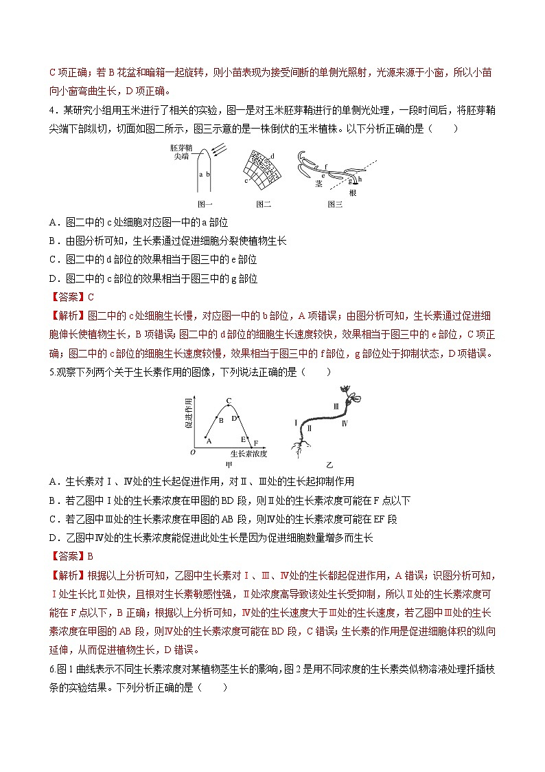2022年高考生物二轮复习 专题八 植物生命活动调节及实验探究 习题第2页