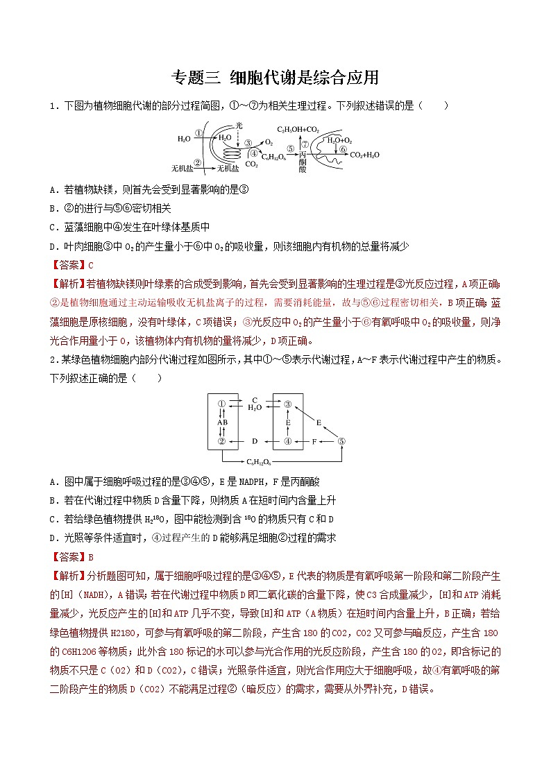 2022年高考生物二轮复习 专题三 细胞代谢的综合应用 习题第1页