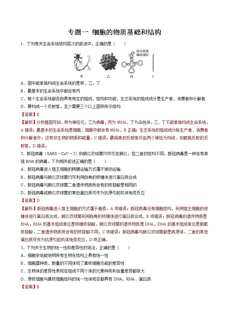 2022年高考生物二轮复习 专题一 细胞的物质基础和结构 习题第1页