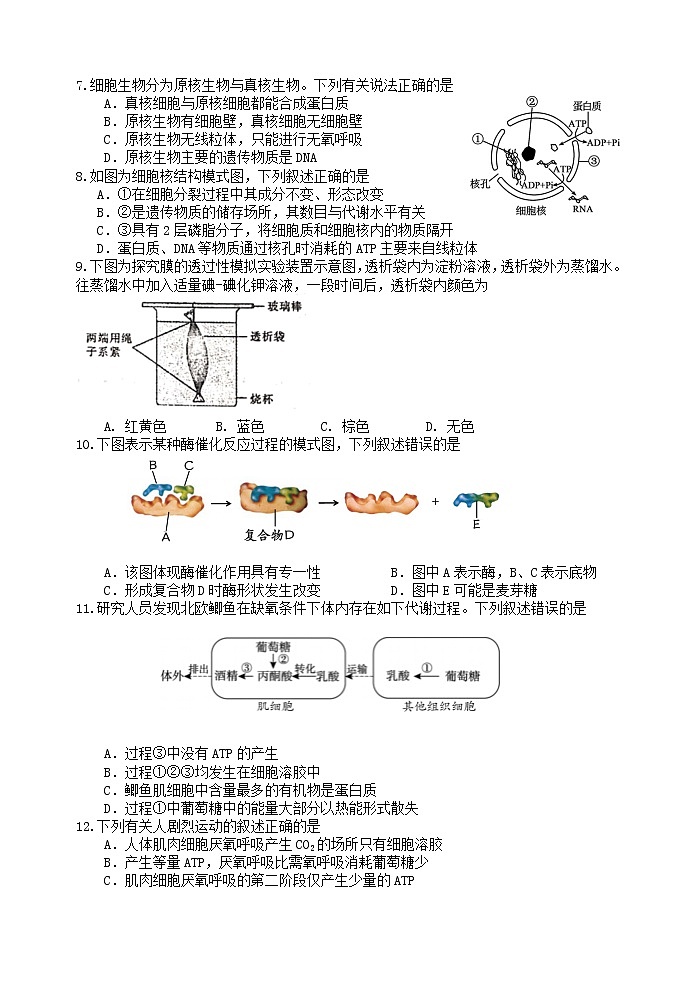 2022杭州西湖高级中学高一下学期期中考试生物试题含答案02