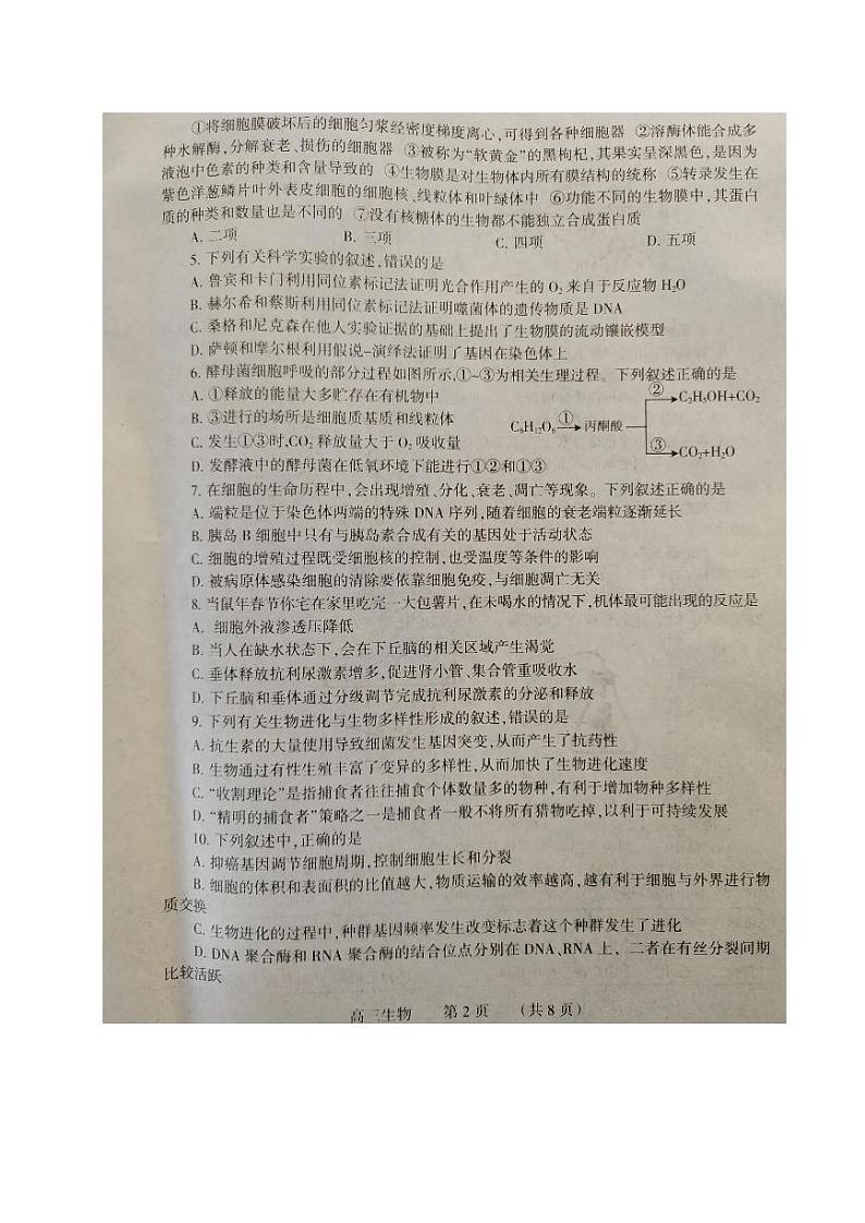 河南省濮阳市2020届高三第一次摸底考试生物试题 PDF版含答案第2页
