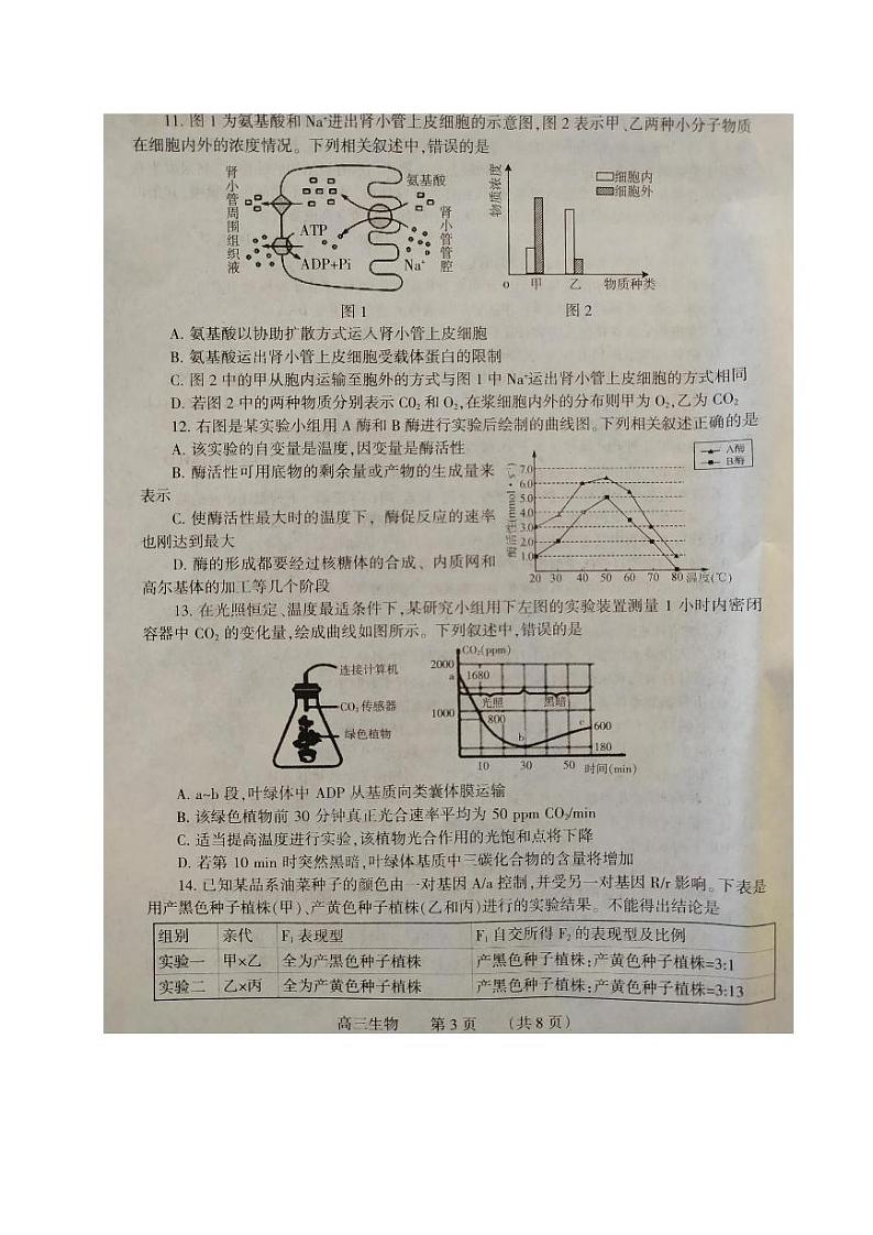 河南省濮阳市2020届高三第一次摸底考试生物试题 PDF版含答案第3页