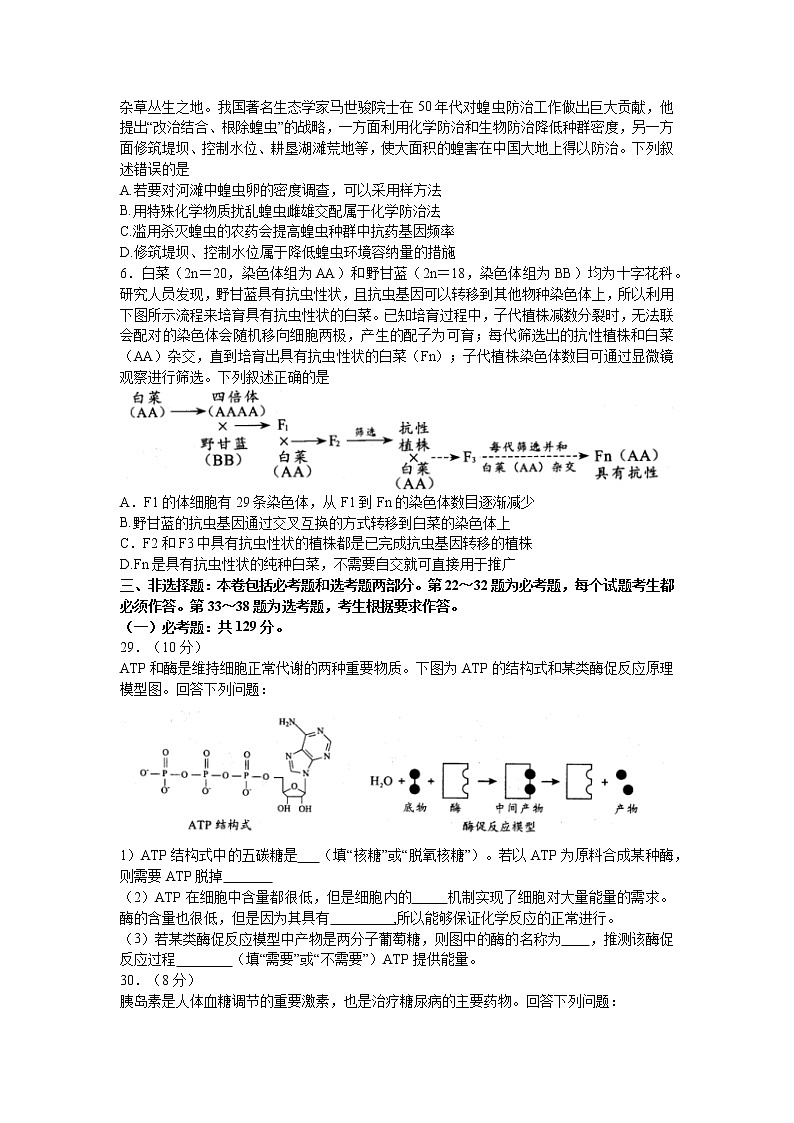 四川省绵阳市高三2022届下学期第三次诊断性考试（三模）生物试卷含答案02