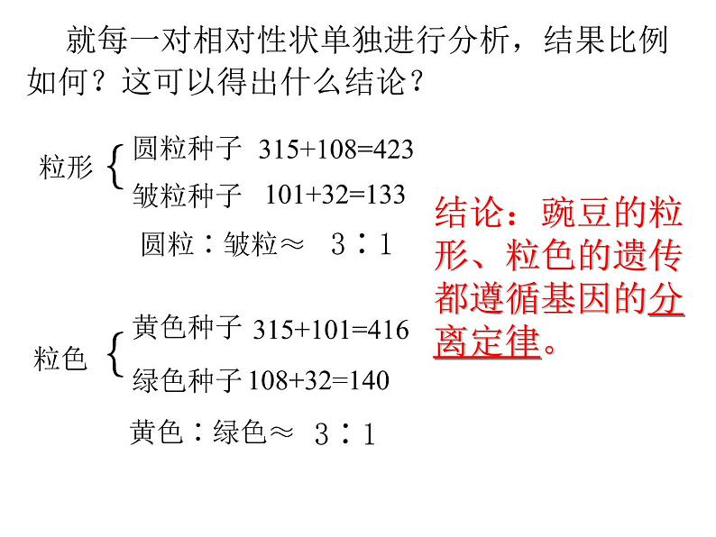 人教新课标高中生物必修二  1.2孟德尔的豌豆杂交实验（二）课件04