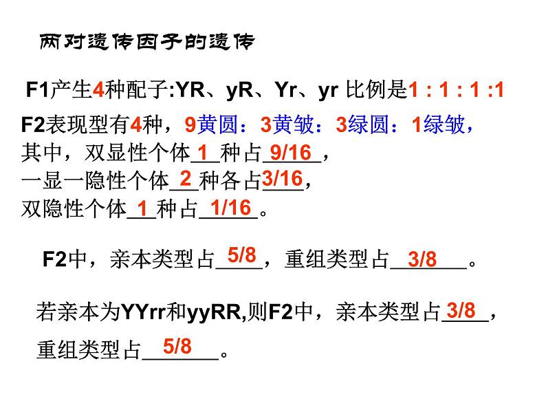 人教新课标高中生物必修二  1.2孟德尔的豌豆杂交实验（二）课件07