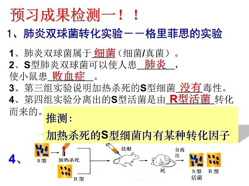 人教新课标高中生物必修二  3.1DNA是主要的遗传物质 课件06