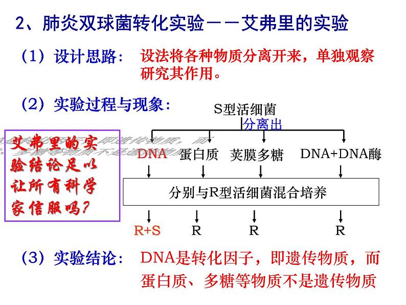 人教新课标高中生物必修二  3.1DNA是主要的遗传物质 课件07