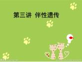 人教新课标高中生物必修二  2.3伴性遗传 课件