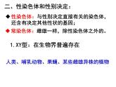 人教新课标高中生物必修二  2.3伴性遗传 课件