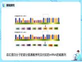 5.1《基因突变和基因重组》课件PPT+教案