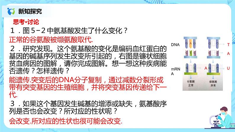 5.1《基因突变和基因重组》课件PPT+教案06