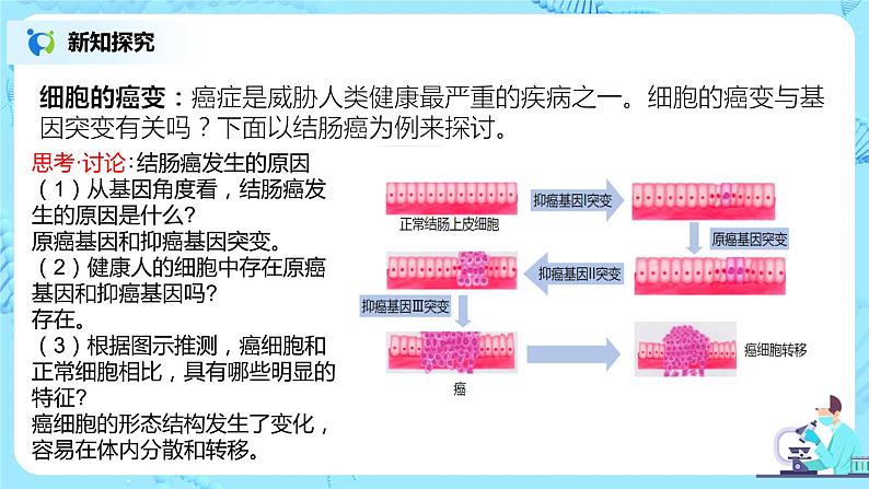 5.1《基因突变和基因重组》课件PPT+教案08