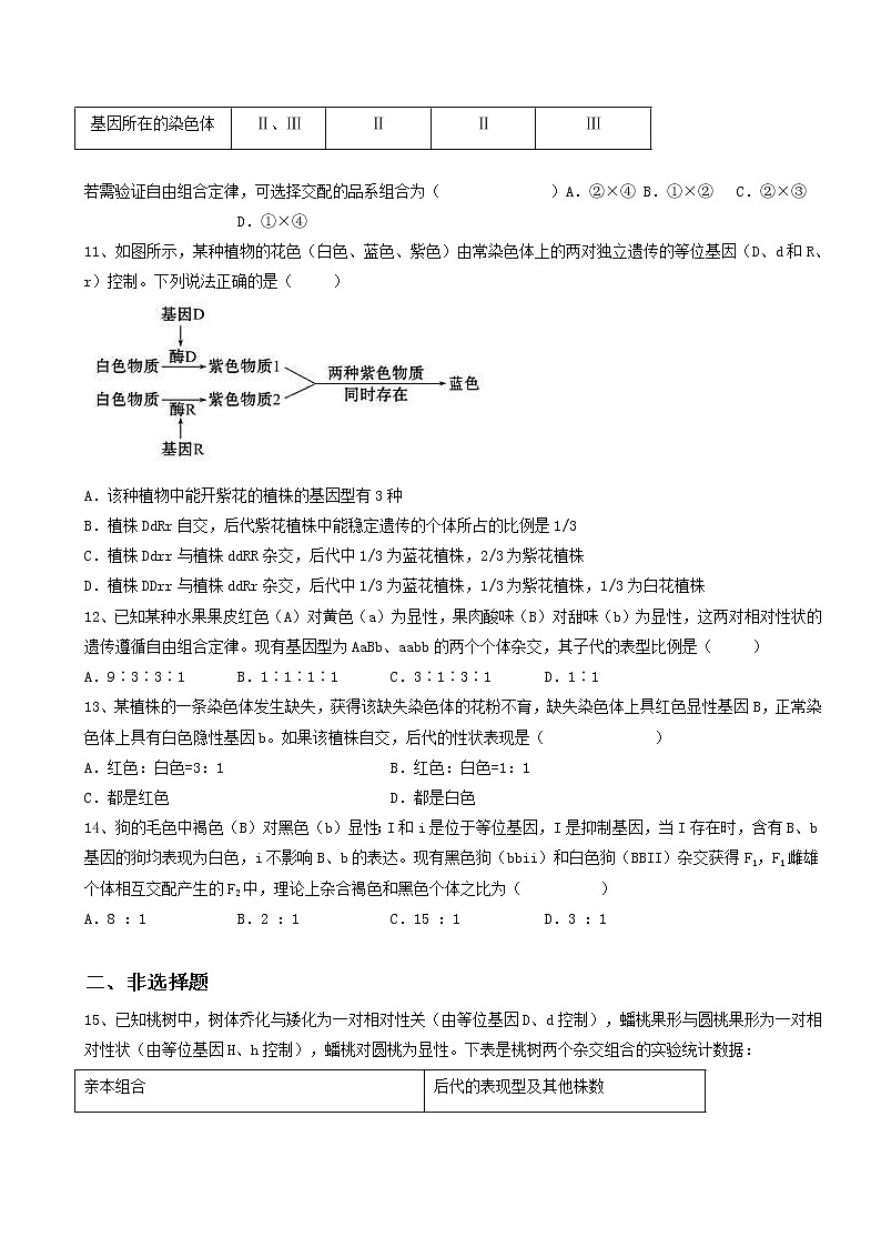 1.2《孟德尔的豌豆杂交实验（二）》课件（送教案+练习）03