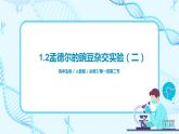 1.2《孟德尔的豌豆杂交实验（二）》课件（送教案+练习）