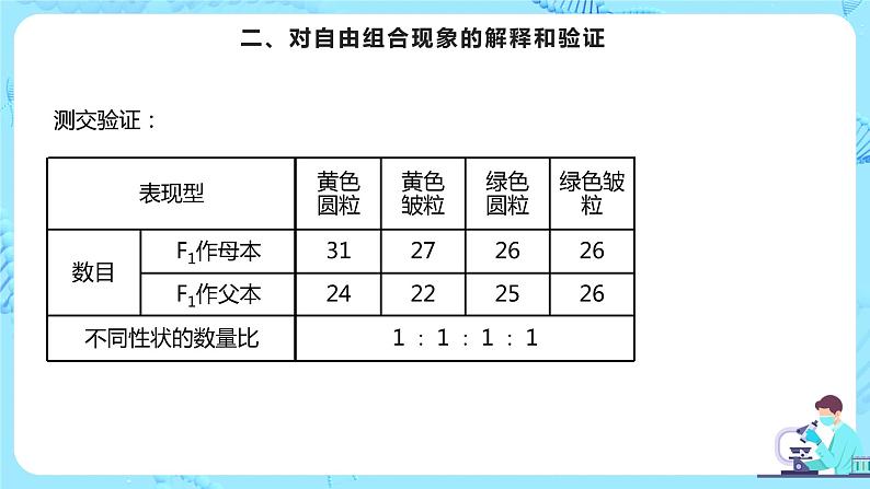 1.2《孟德尔的豌豆杂交实验（二）》课件（送教案+练习）06