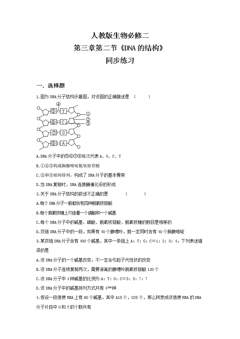 3.2《DNA的结构》同步练习第1页