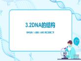 3.2 《DNA的结构》课件（送教案+练习）