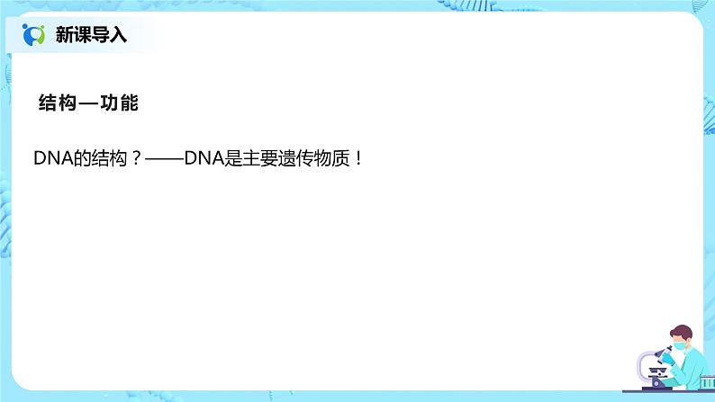 3.2 《DNA的结构》课件第2页