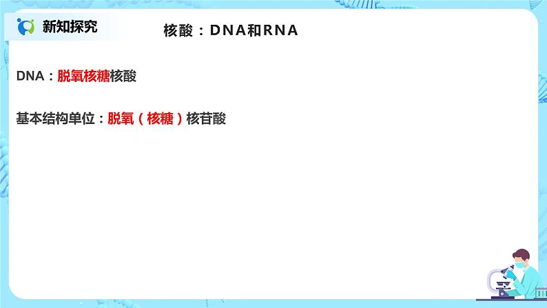 3.2 《DNA的结构》课件第5页