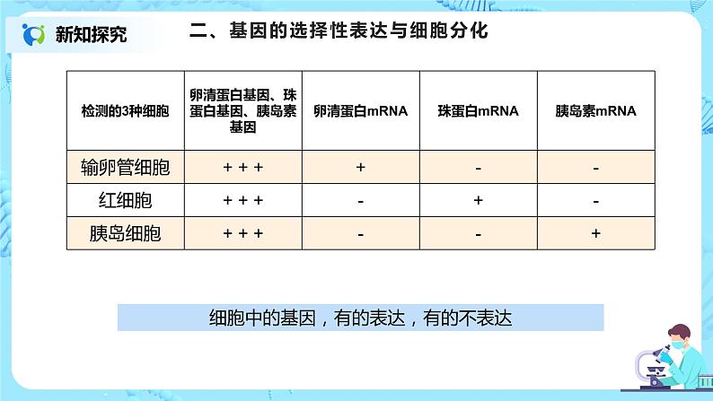 4.2《基因表达与性状的关系》课件（送教案+练习）07