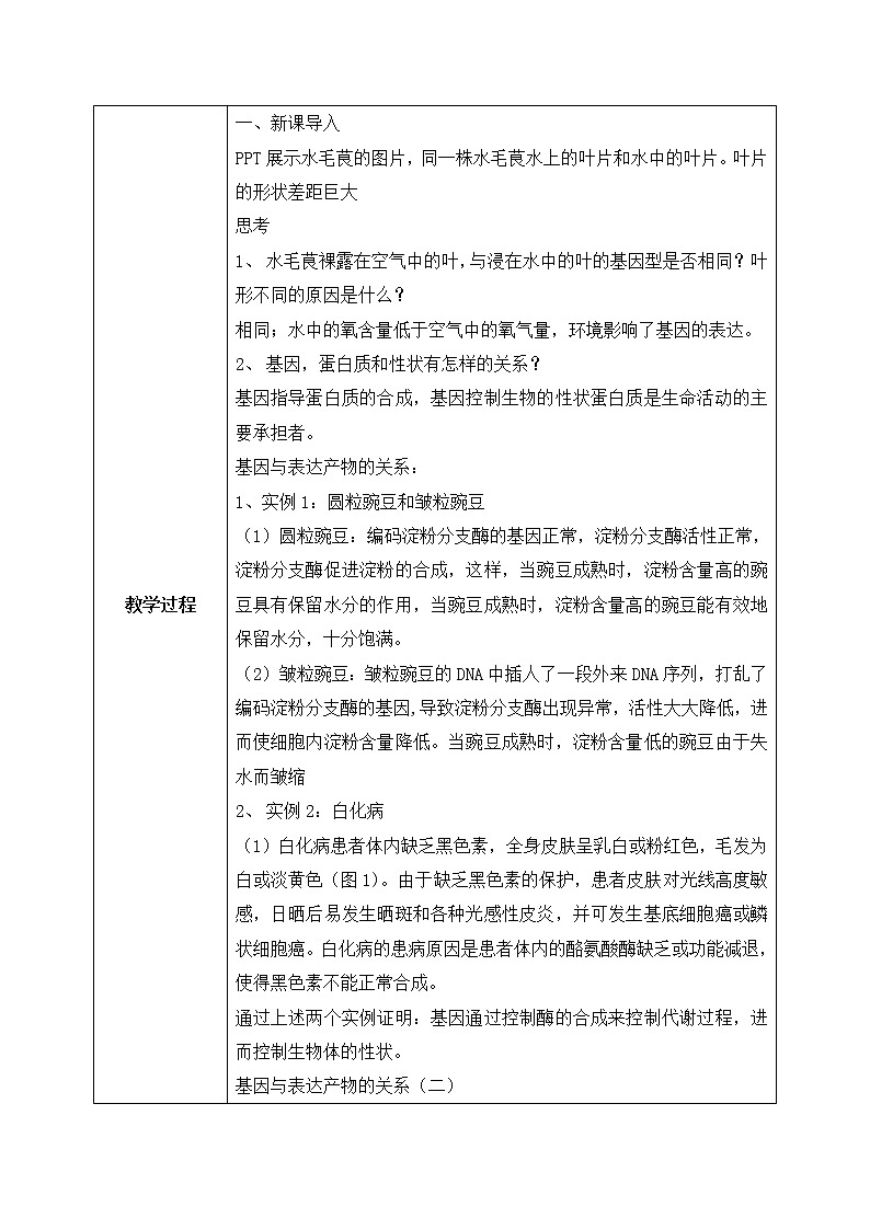 4.2《基因表达与性状的关系》课件（送教案+练习）02