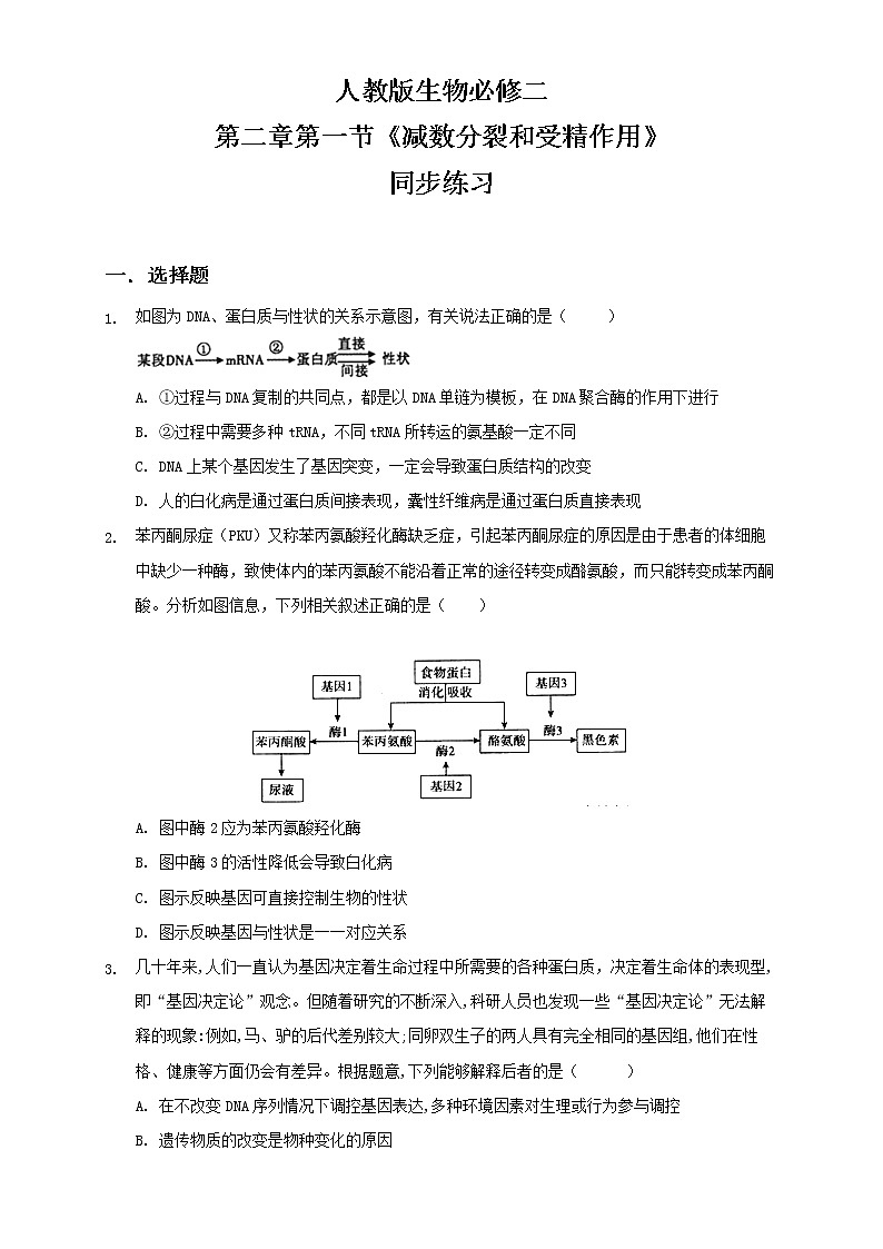 4.2《基因表达与性状的关系》课件（送教案+练习）01