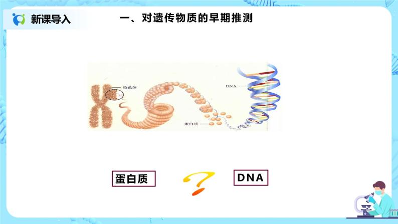 3.1《DNA是主要的遗传物质》课件（送教案+练习）02