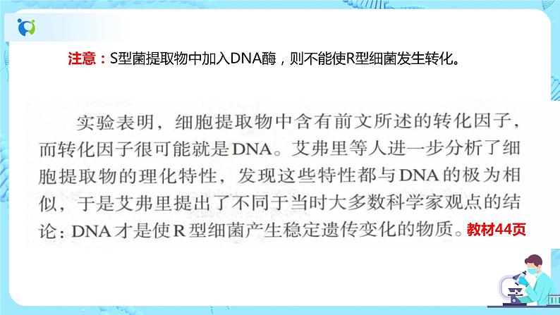 3.1《DNA是主要的遗传物质》课件（送教案+练习）07