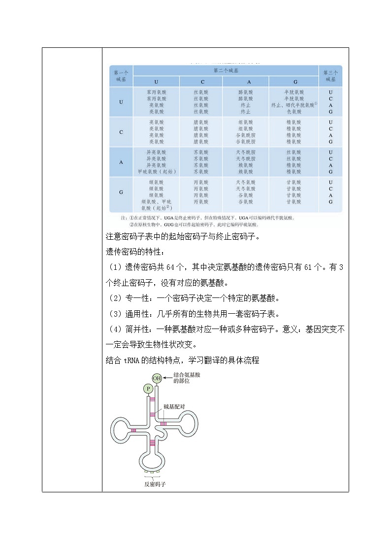 4.1《基因指导蛋白质的合成》教案第2页
