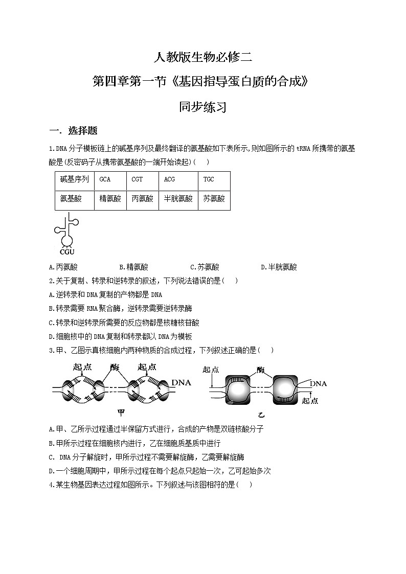 4.1《基因指导蛋白质的合成》同步练习第1页