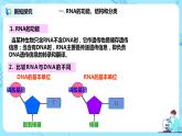 4,1《基因指导蛋白质的合成》课件（送教案+练习）