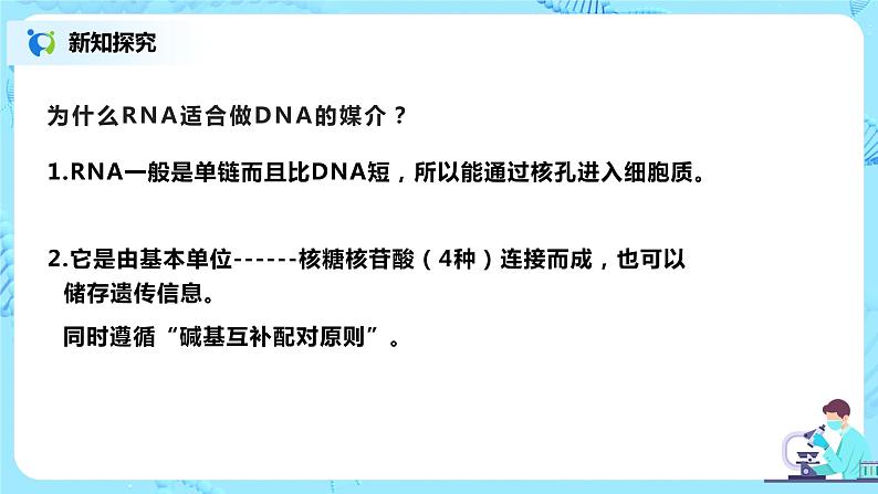 4.1《基因指导蛋白质的合成》课件第6页