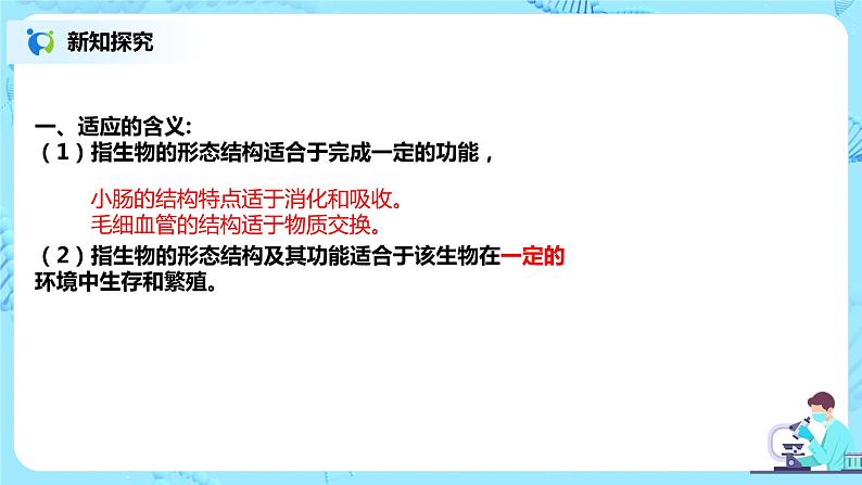 6.2《自然选择与适应的形成》课件第2页