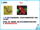 6.2《自然选择与适应的形成》课件（送教案+练习）