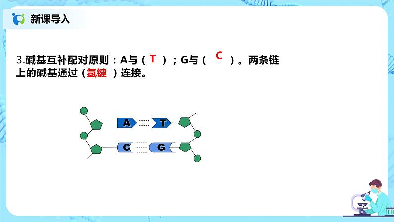 3.3《DNA的复制》课件（送教案+练习）03