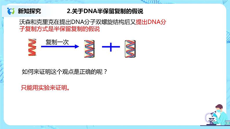 3.3《DNA的复制》课件（送教案+练习）07