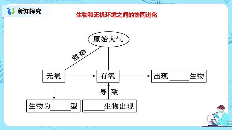 6.4 《协同进化与生物多样性的形成》课件（送教案+练习）05