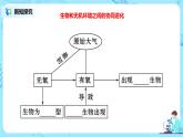 6.4 《协同进化与生物多样性的形成》课件（送教案+练习）