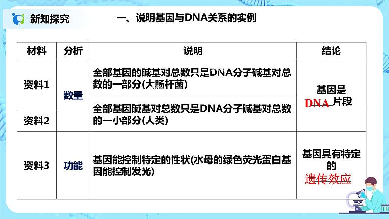 3.4《基因通常是有遗传效应的DNA片段》课件（送教案+练习）07