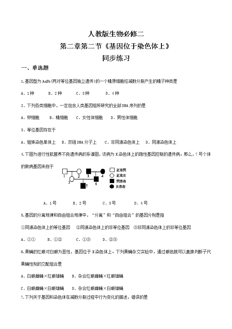 2.2《基因位于染色体上》课件（送教案+练习）01