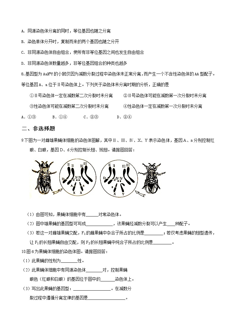 2.2《基因位于染色体上》课件（送教案+练习）02