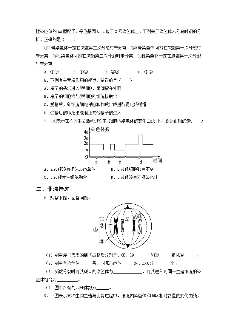 2.1《减数分裂和受精作用》课件（送教案+练习）02