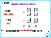 5.1《基因突变和基因重组》课件+教案+同步练习