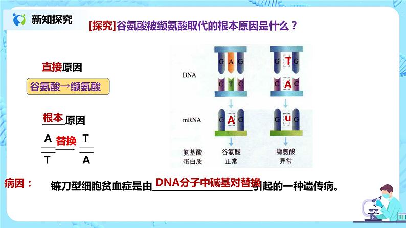 5.1《基因突变和基因重组》课件+教案+同步练习05