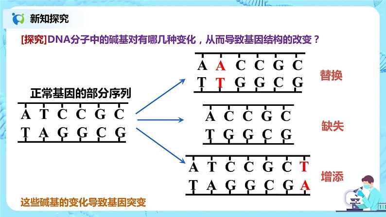 5.1《基因突变和基因重组》课件+教案+同步练习07