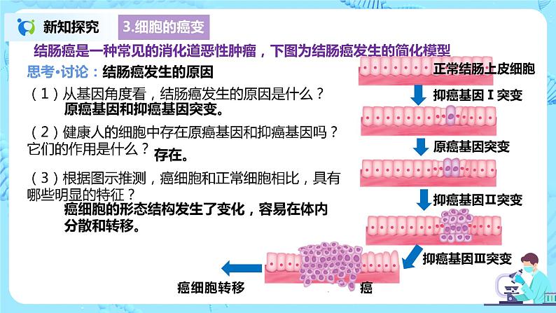 5.1《基因突变和基因重组》课件+教案+同步练习08