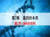 人教版必修二3.2 《DNA的结构》课件PPT