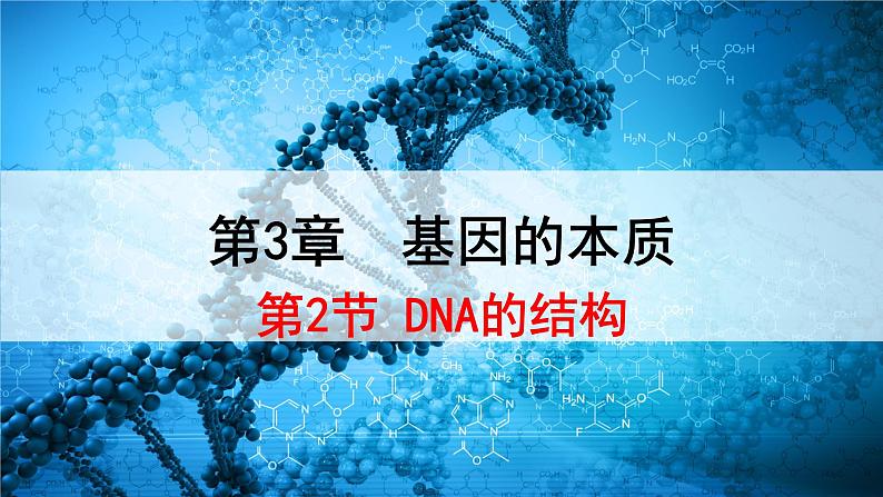 人教版必修二3.2 《DNA的结构》课件PPT第1页