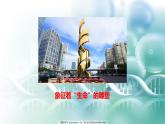 人教版必修二3.2 《DNA的结构》课件PPT