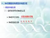 人教版必修二3.2 《DNA的结构》课件PPT